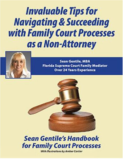 Family Court Process book cover